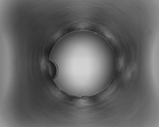 X0000113870236200910011118