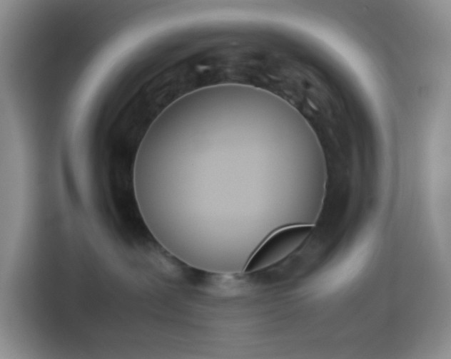 X0000113870239200910011118