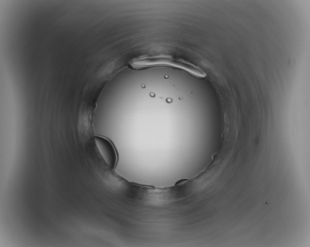 X0000113870240200910011118