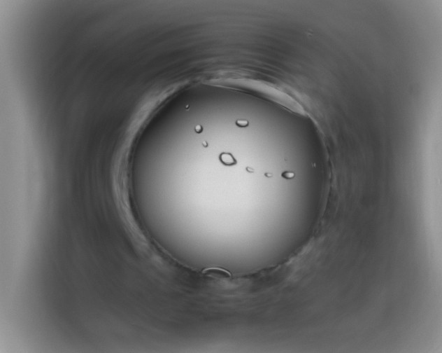 X0000113870241200910011118