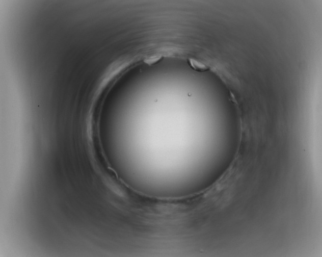 X0000113870242200910011118