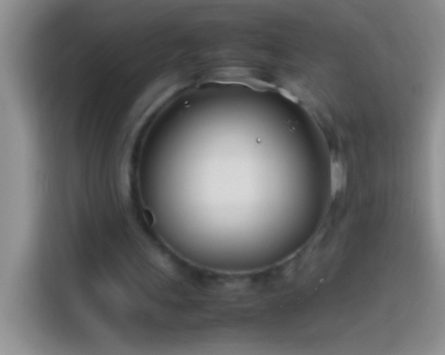 X0000113870243200910011118