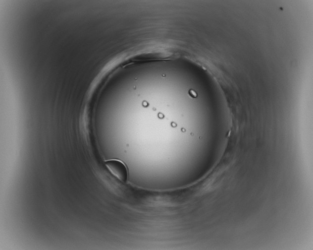 X0000113870244200910011118