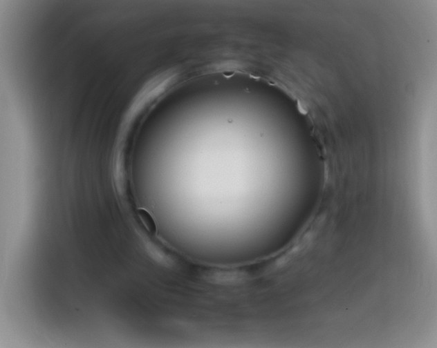 X0000113870245200910011118