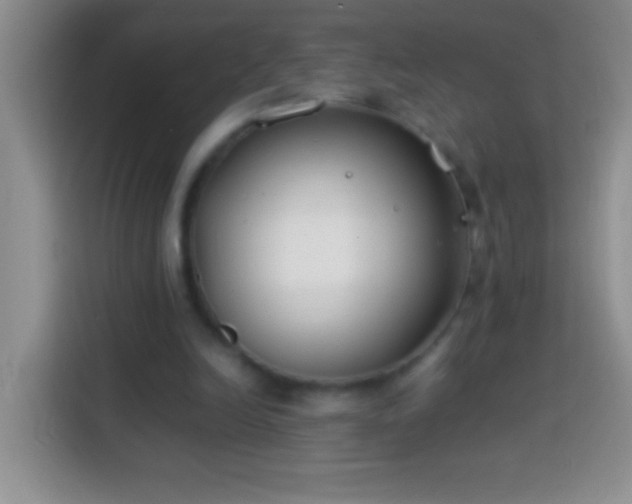 X0000113870246200910011118