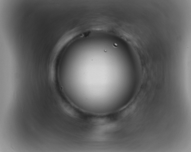 X0000113870247200910011118