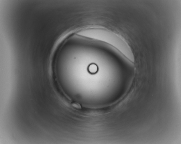 X0000113870248200910011118