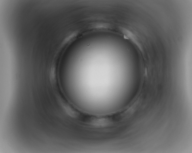 X0000113870249200910011118