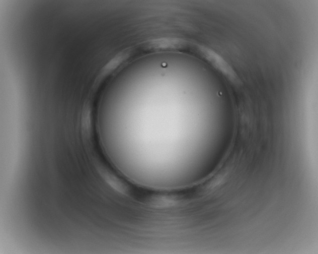 X0000113870250200910011118