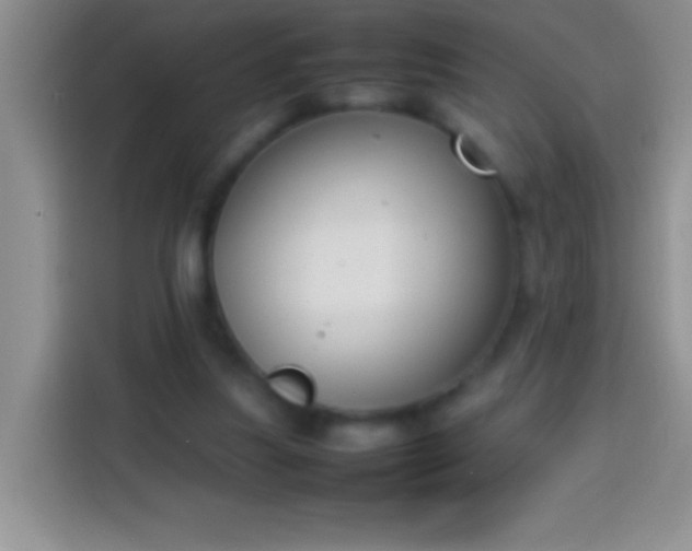 X0000113870251200910011118