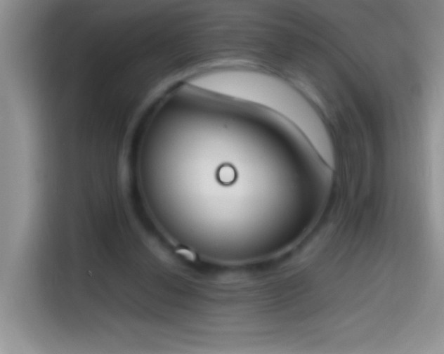 X0000113870252200910011118