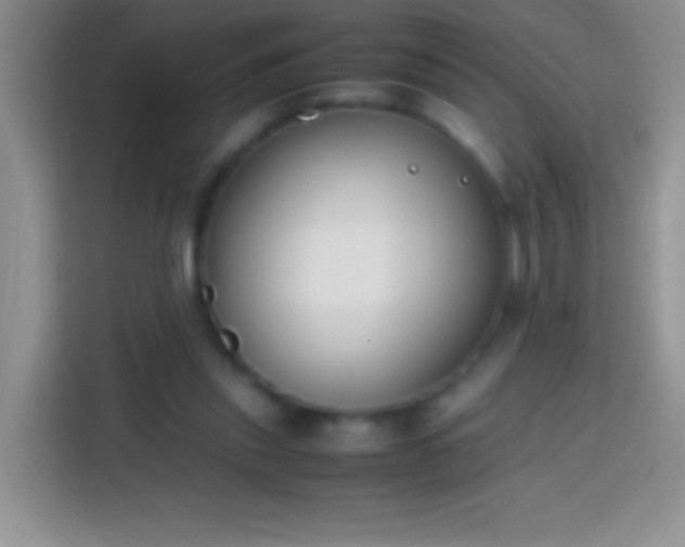 X0000113870253200910011118