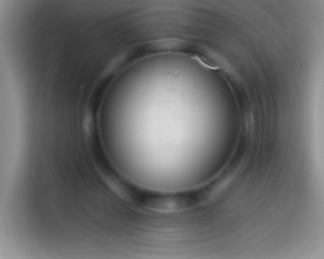 X0000113870254200910011118