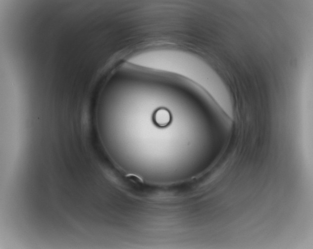 X0000113870256200910011118