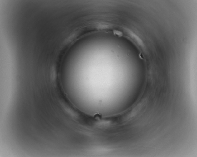 X0000113870257200910011118