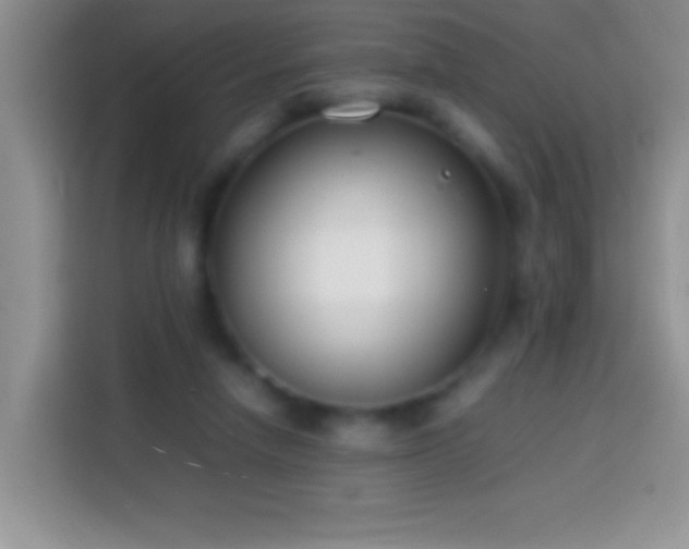 X0000113870258200910011118