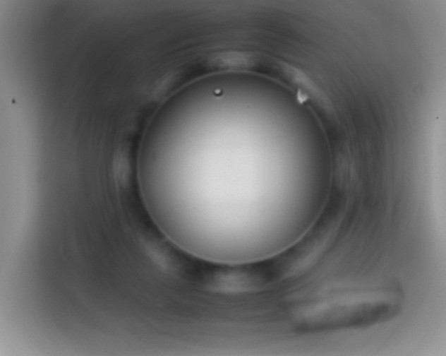 X0000113870259200910011118