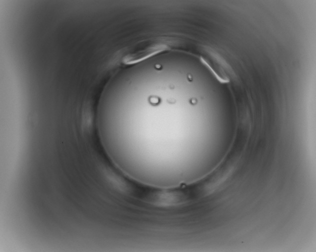 X0000113870261200910011118