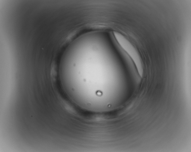 X0000113870264200910011118