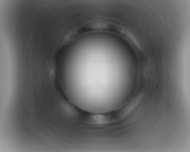 X0000113870265200910011118