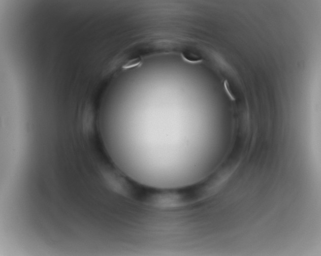 X0000113870266200910011118