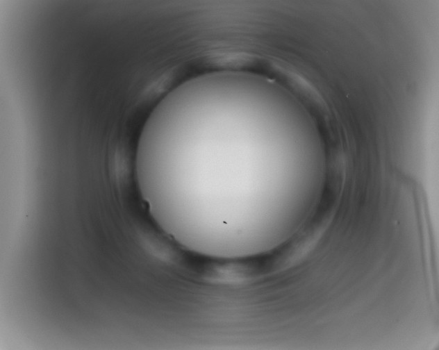 X0000113870268200910011118