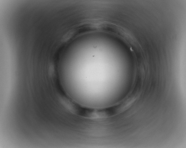 X0000113870270200910011118