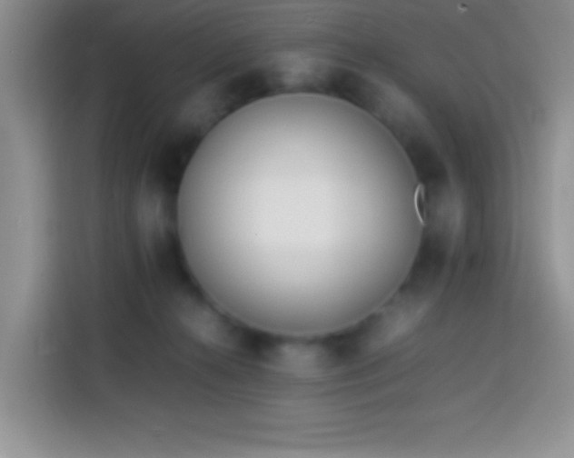 X0000113870272200910011118