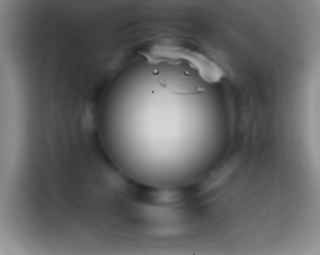 X0000113870273200910011118