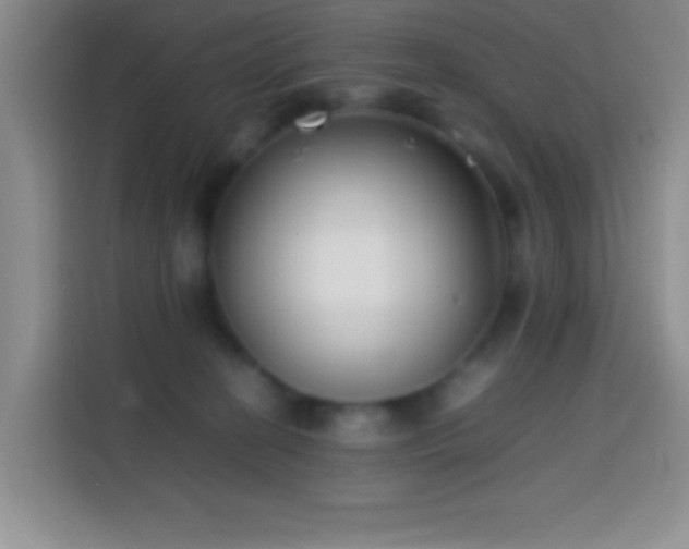 X0000113870274200910011118