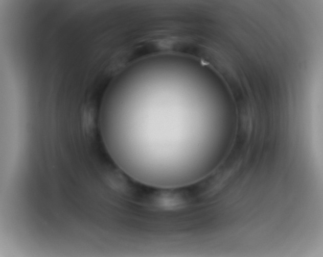 X0000113870275200910011118