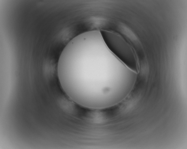 X0000113870276200910011118