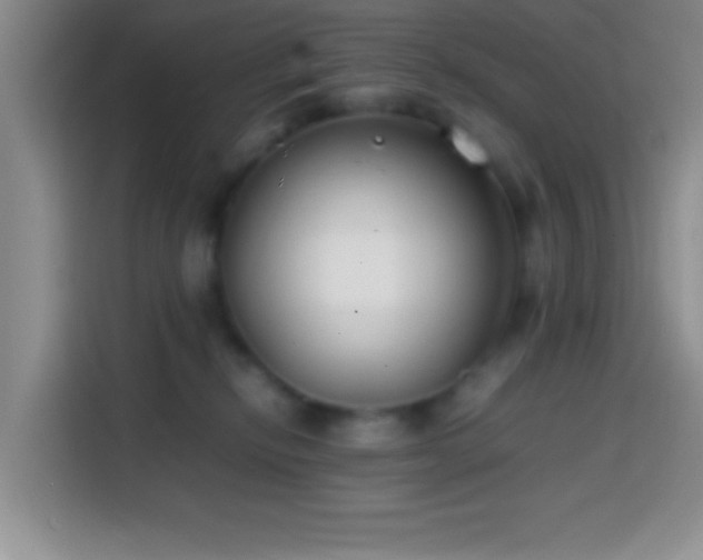 X0000113870278200910011118