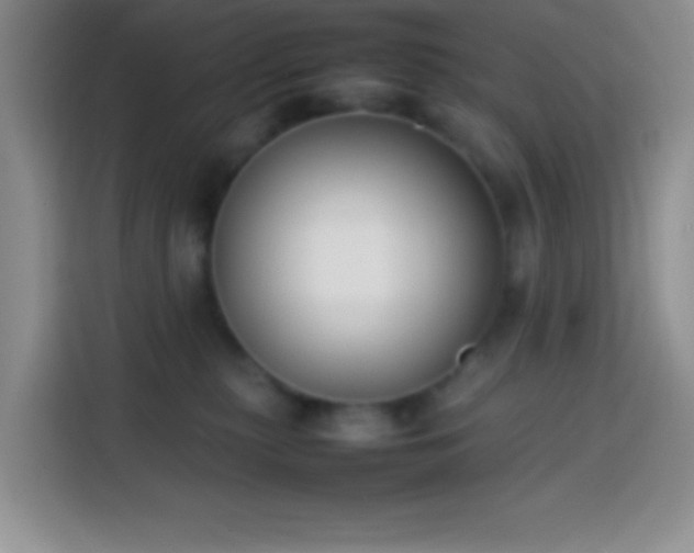 X0000113870279200910011118