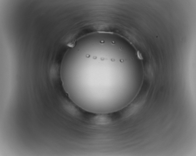 X0000113870280200910011118