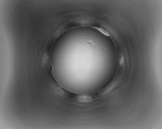 X0000113870281200910011118