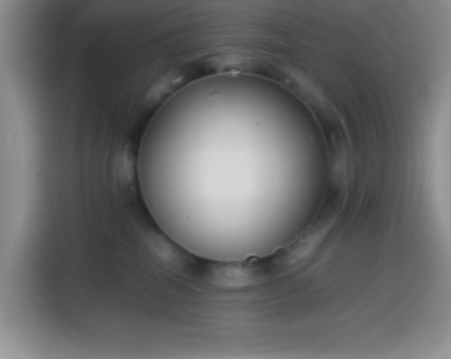 X0000113870282200910011118