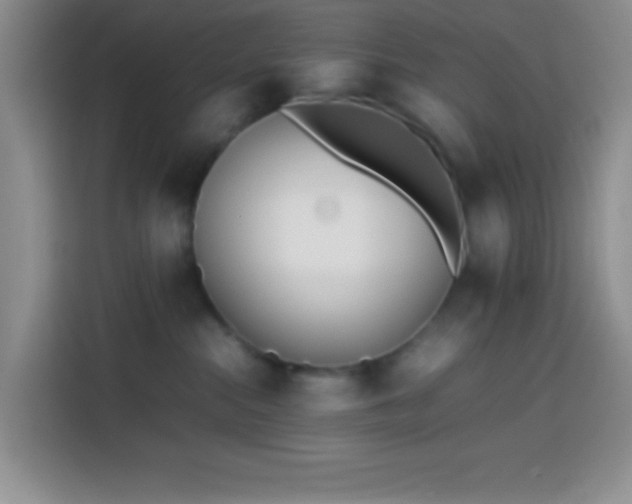 X0000113870284200910011118