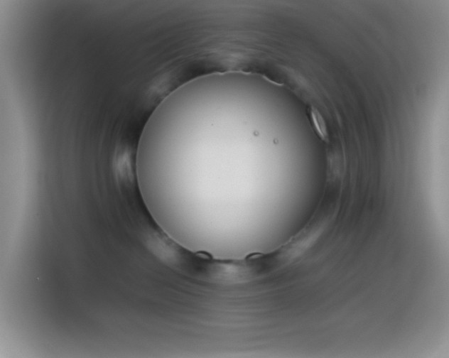 X0000113870286200910011118