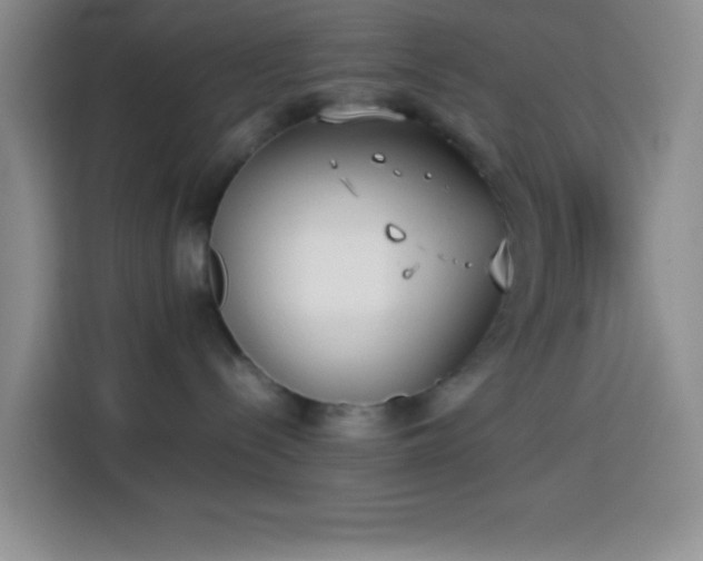 X0000113870288200910011118