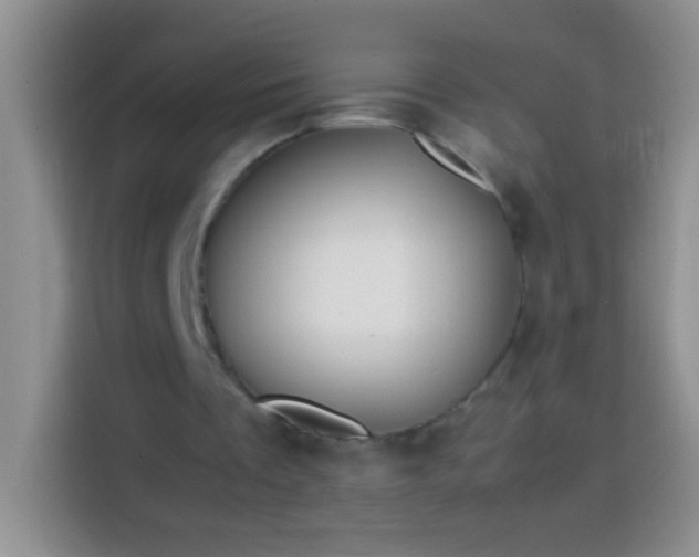 X0000113870289200910011118