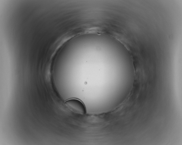 X0000113870290200910011118