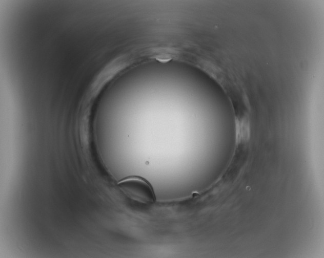 X0000113870291200910011118