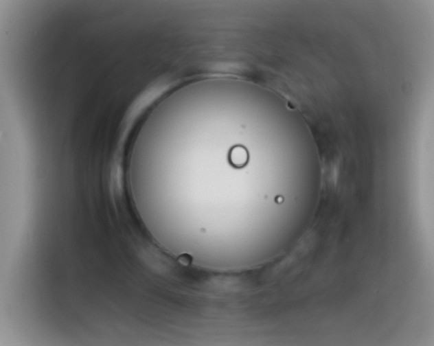 X0000113870294200910011118