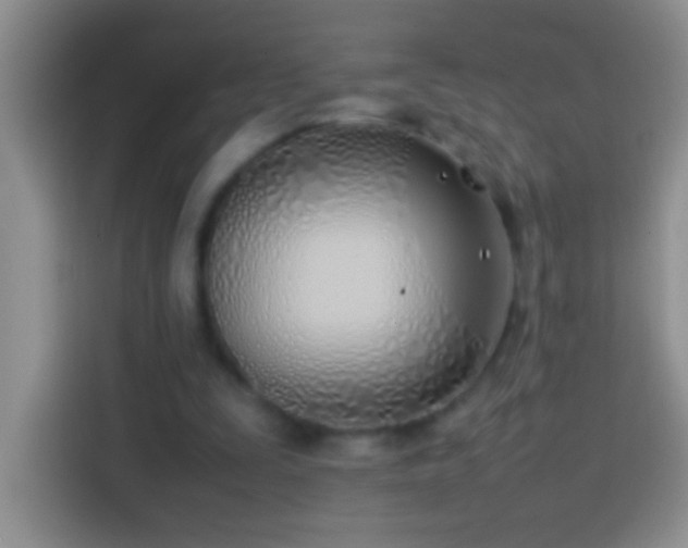 X0000113870295200910011118