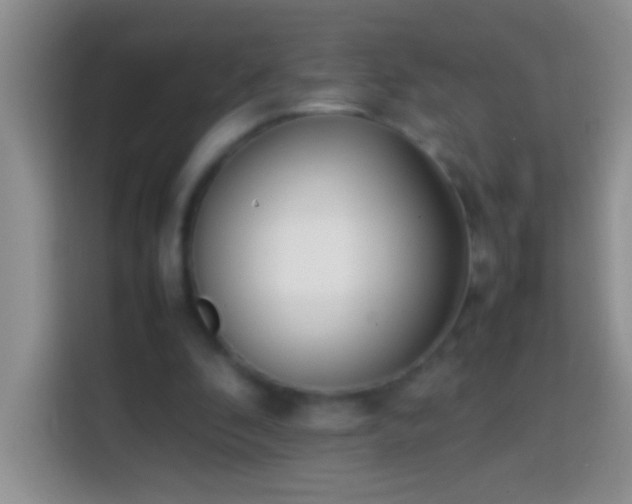 X0000113870296200910011118