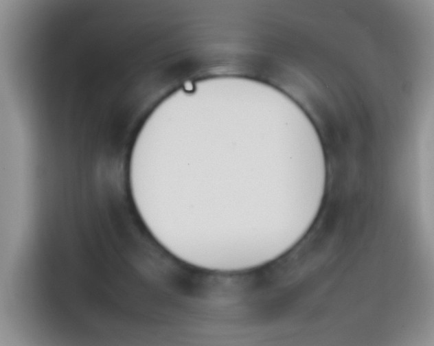 X0000113870297200910011118