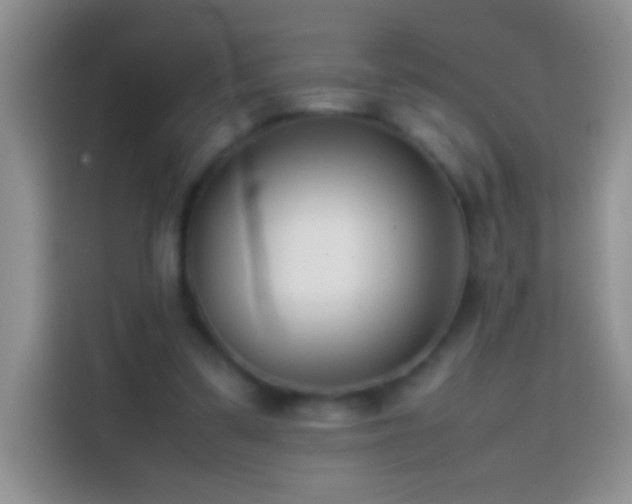 X0000113870299200910011118