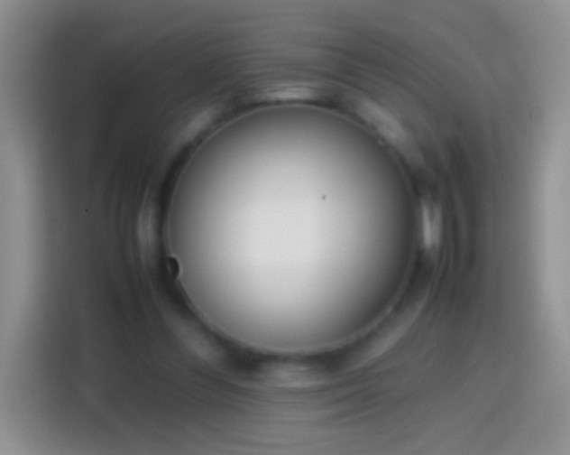 X0000113870300200910011118