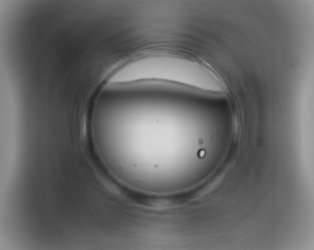 X0000113870301200910011118